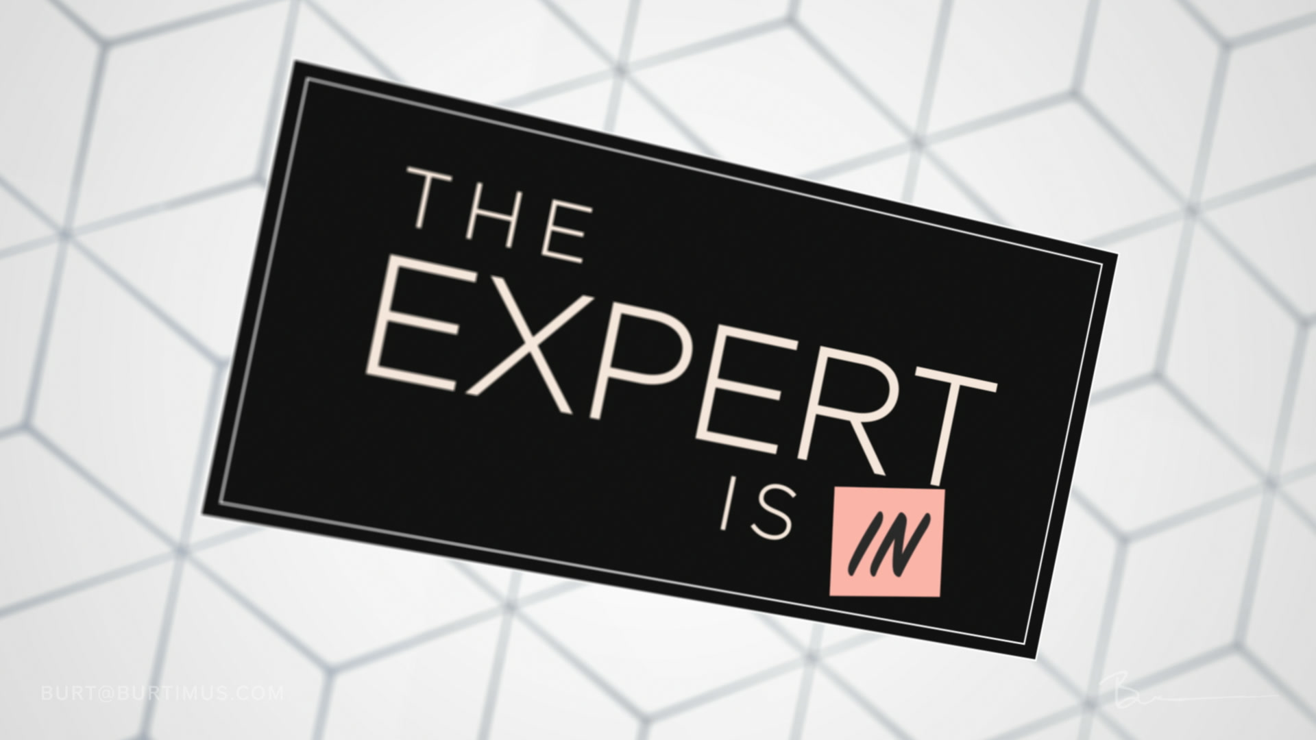 The Expert Is In title design.